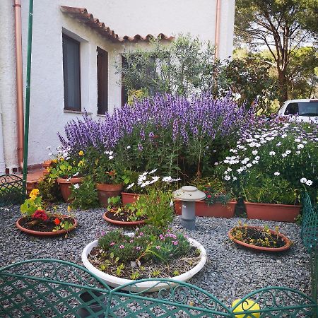 Villa Manuela Pula Bagian luar foto