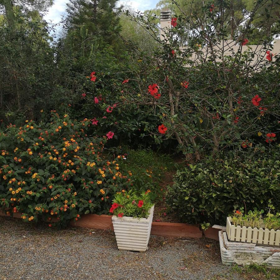 Villa Manuela Pula Bagian luar foto