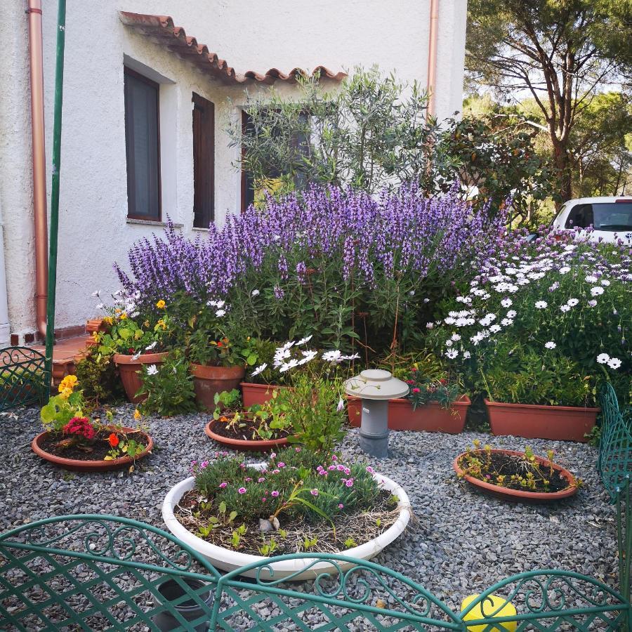 Villa Manuela Pula Bagian luar foto